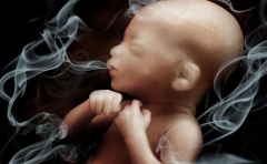اثرات مصرف دخانیات بر سلامت باروری، نوزاد و جوانی جمعیت
