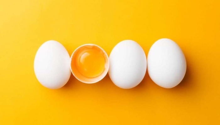 روز جهانی تخم مرغ / حداقل یک تخم مرغ در روز مصرف کنید