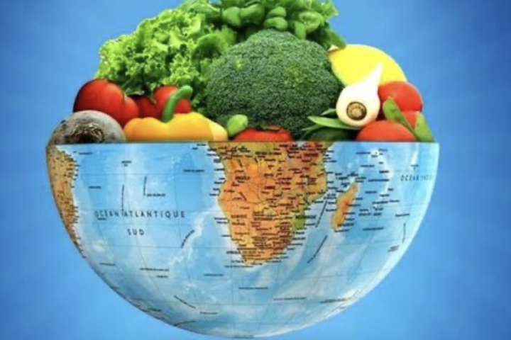 ارائه بیش از 1.6 میلیون خدمات رایگان بهبود تغذیه در سال گذشته ارائه بیش از 1.6 میلیون خدمات رایگان بهبود تغذیه در سال گذشته